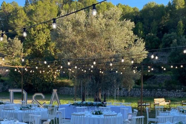 Palma Eventos 4
