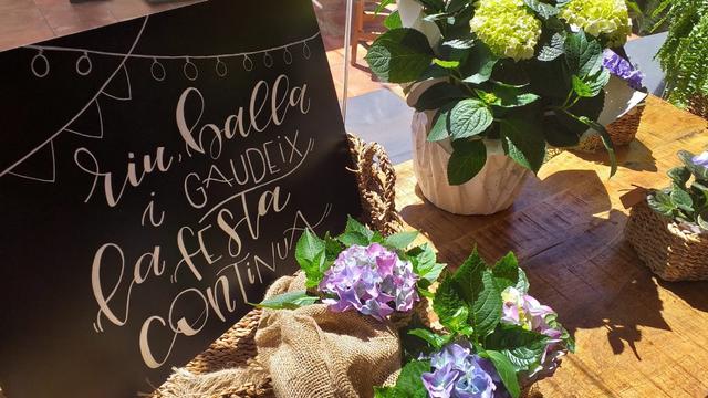 Aràlia Flors - 3