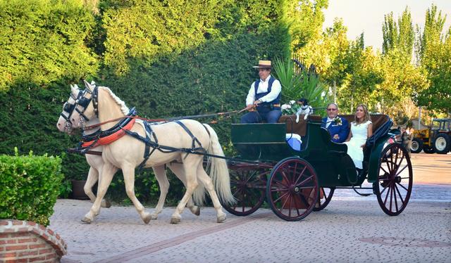 Juampiter weddings - 4
