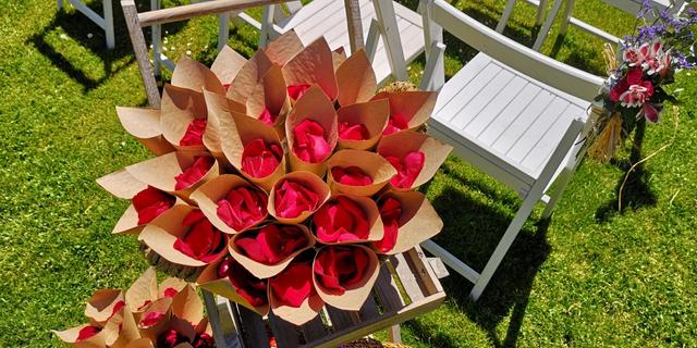 Aràlia Flors - 4