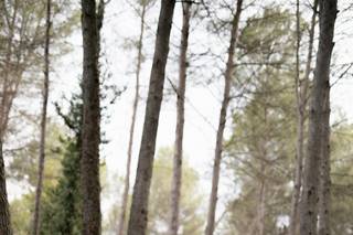 Marta Clotet Photography - 5
