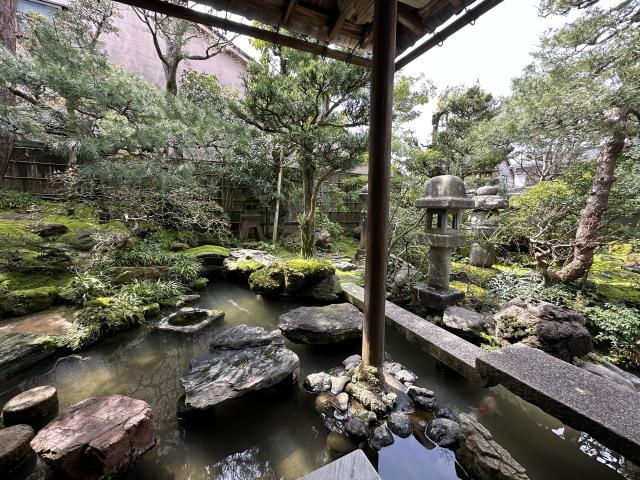 Japonal - 3