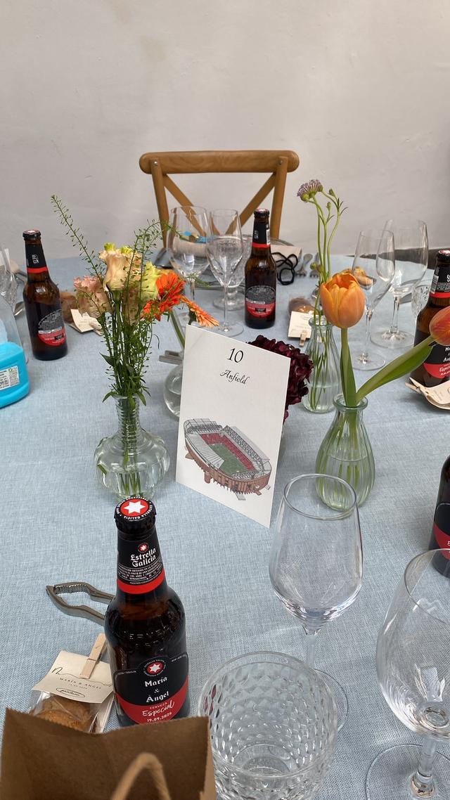 Boda Ilustrada - 1