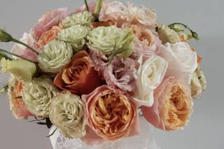 Flores JM - 22