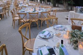 Avibo Rental - 10