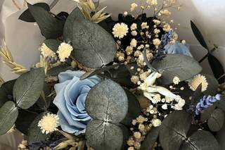Blomma - 7