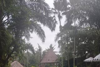 Kokoa travel - 10
