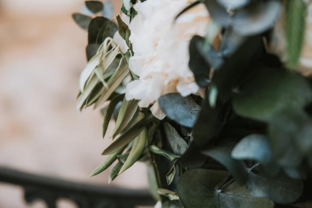 Camomile Bouquet - 4