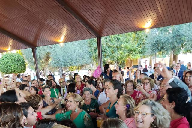 Elegancia Eventos 1