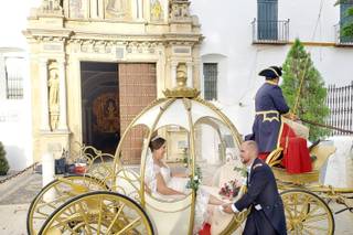Dreams carruaje de princesas - 9