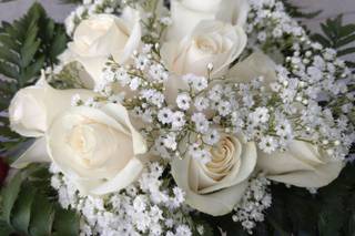 Las Flores de Tete - 13