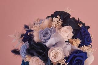 Algeflor - 8