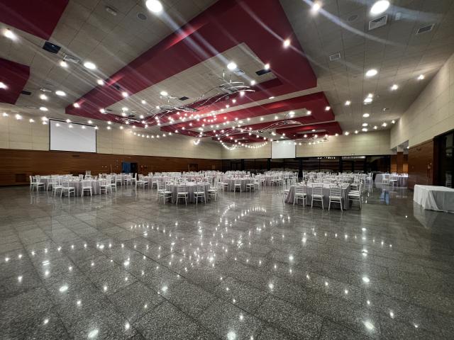 Salón Pio XII - 1