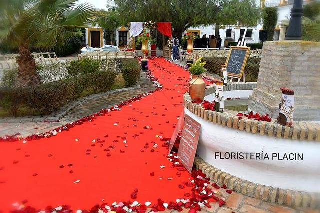 Placín Decoración de Eventos - 4