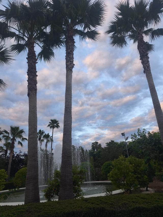 Hacienda La Masía - 2