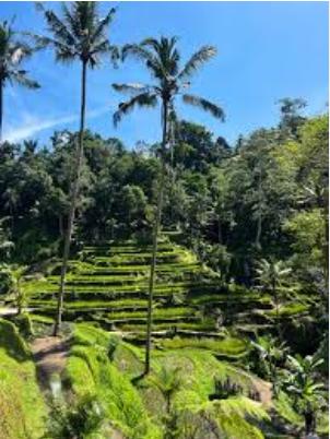 Travelvigo - 1
