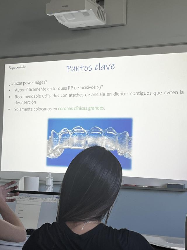 Vicente Alfonso - 2