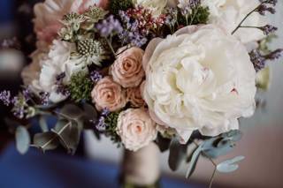 Wonder Blooms - 3