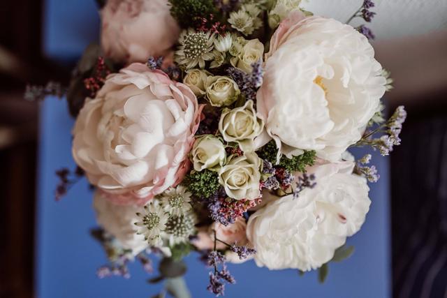 Wonder Blooms - 1