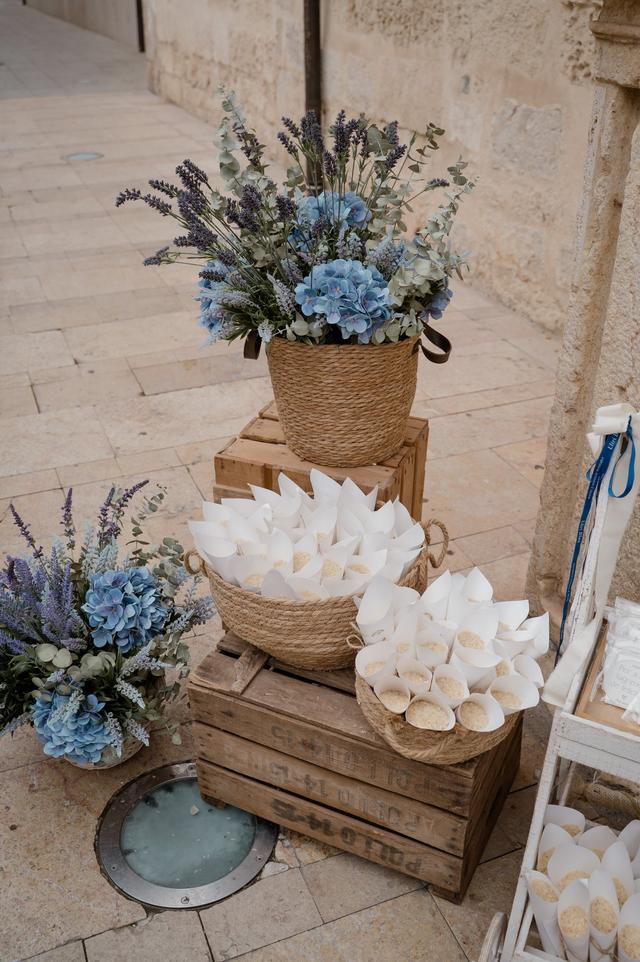 Lliri Blau - 2