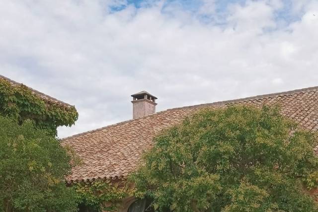 Finca Montealegre 1