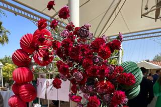 Edén Flores y Eventos - 7