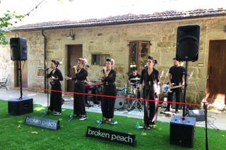 Broken Peach - 7