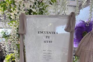 Palpitando al Compás - 5