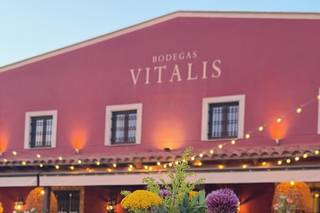 Bodegas Vitalis - 5
