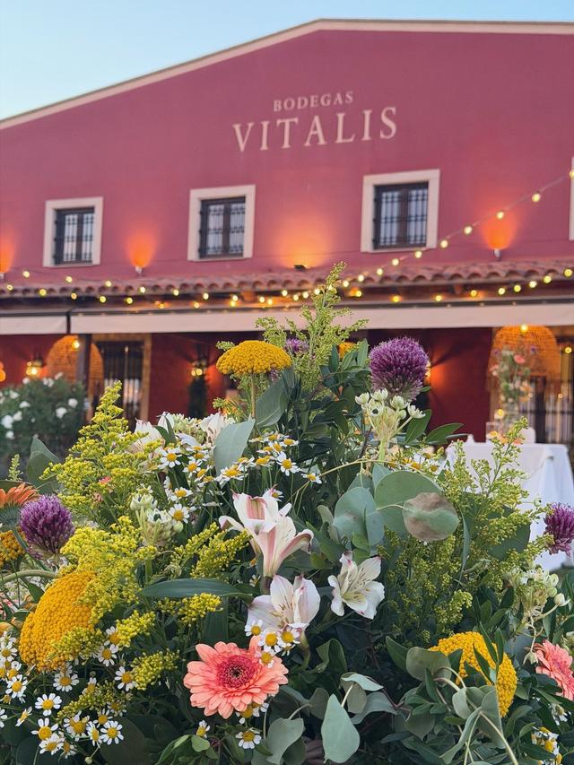 Bodegas Vitalis - 2