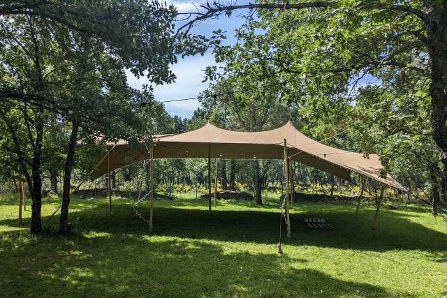 Anthonytents 1