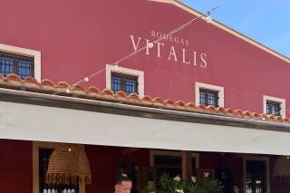 Bodegas Vitalis - 7