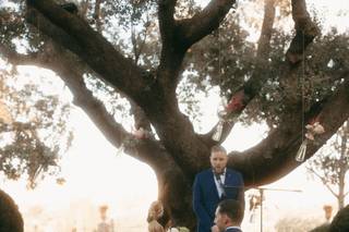 The Creative Shot - 30