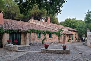 Finca Los Royales - 7