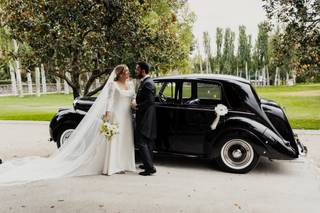 Clásicos de Lujo - 5