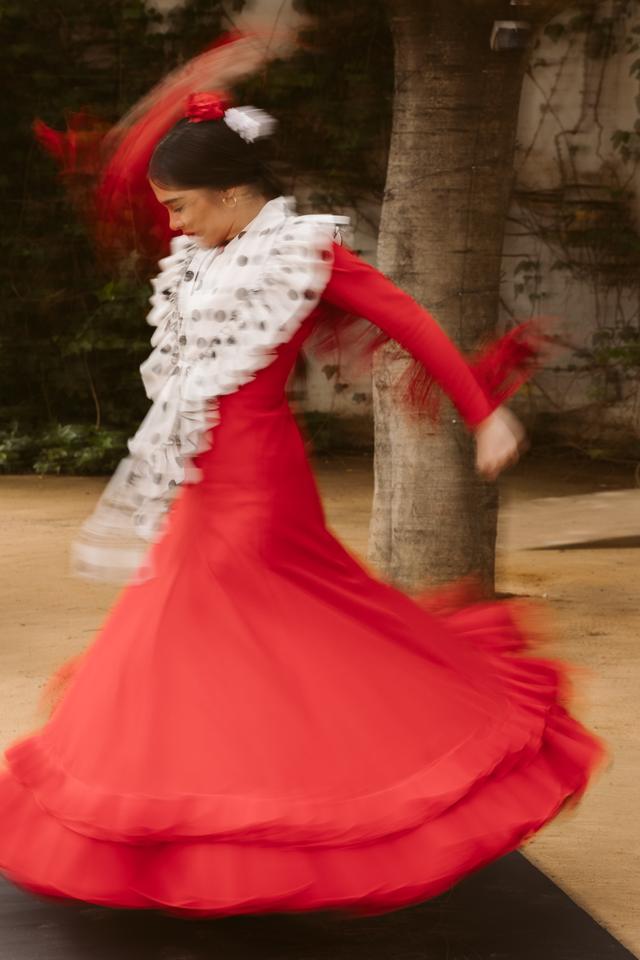 El Planeta Flamenco - 2