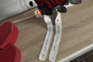 21 mundo creaciones - 5