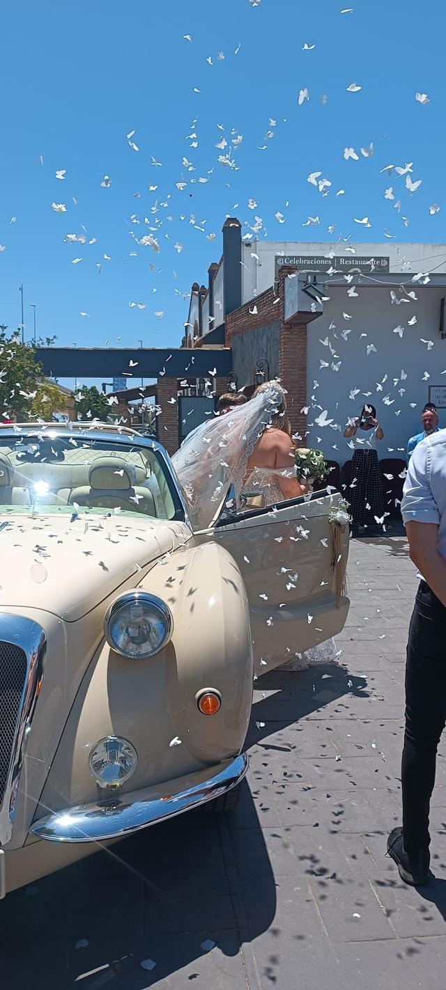 Factory Bodas - 2