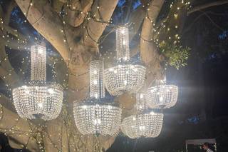 Adaya Eventos - 11