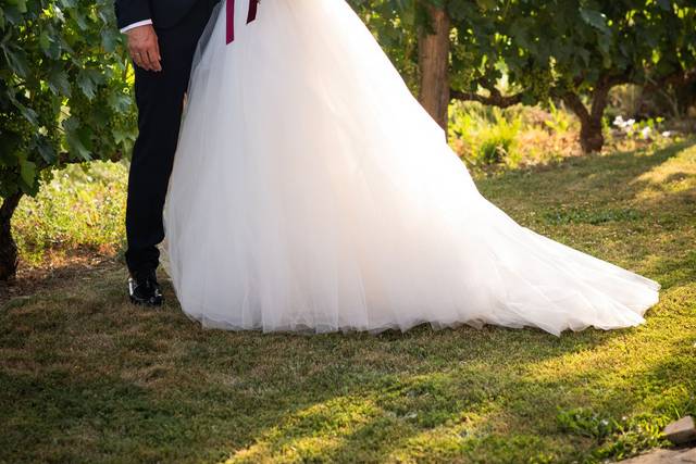 ¡Viva tu Boda! 2
