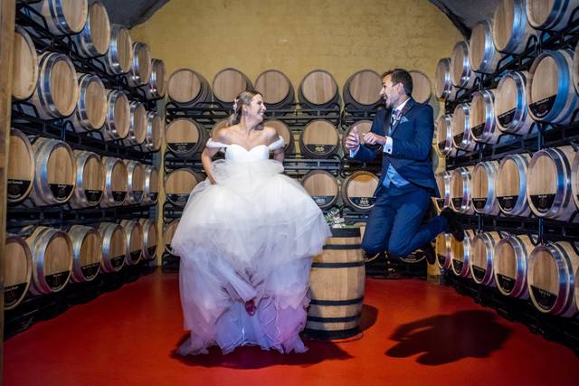 ¡Viva tu Boda! 3