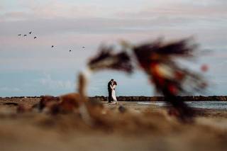 Wild Art Photography - 8
