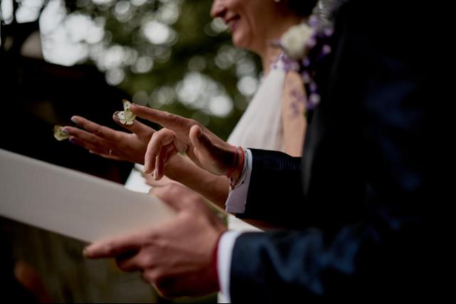 Mariposas para bodas - 4