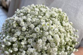 La ventana azul - 5