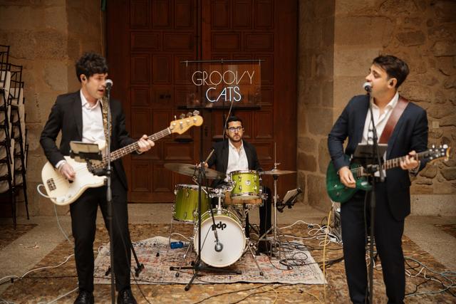 Groovy Cats - 4