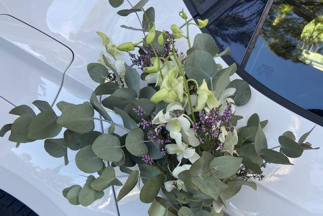 Jacinta Floristes 2