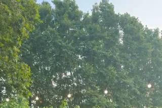 Los del sótano - 11