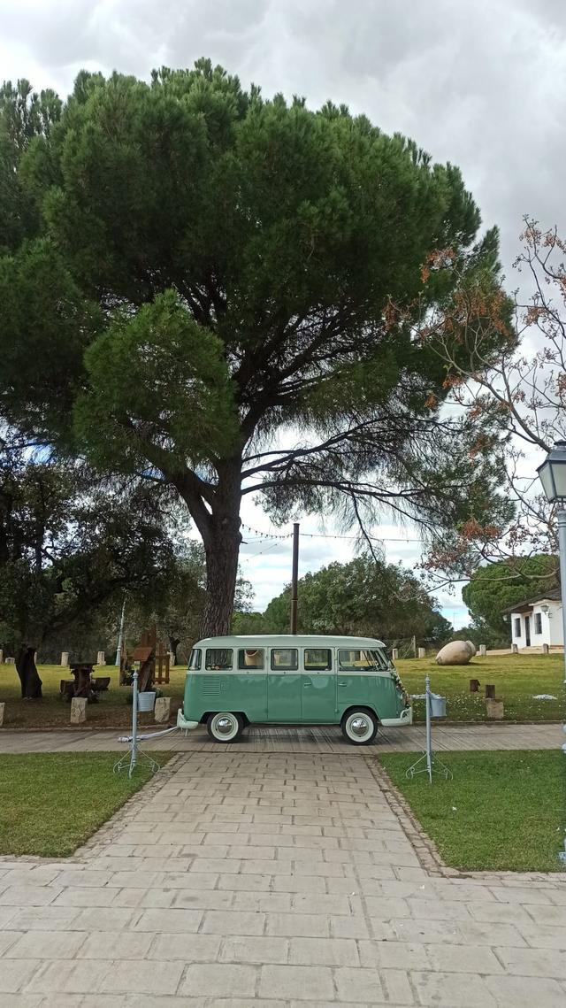 Wedding Bus - 2