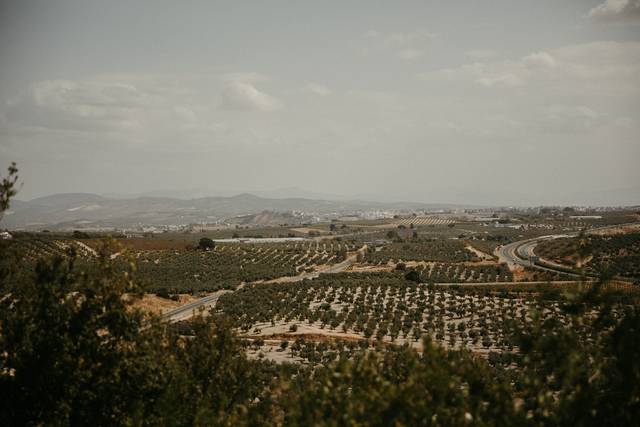 Hacienda Hotel Atalaya 2