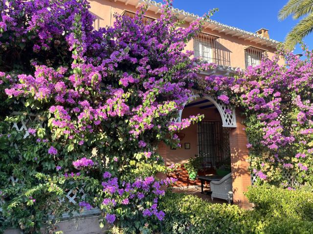 Hacienda La Valeriana - 4